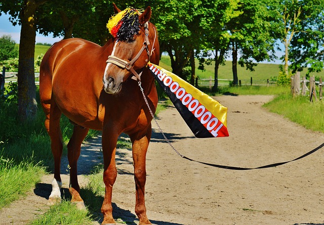 心理的坚韧 心理的坚韧