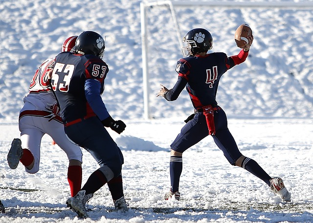 了坚实的资 了坚实的资