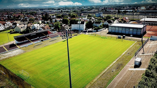 业教育交流 业教育交流