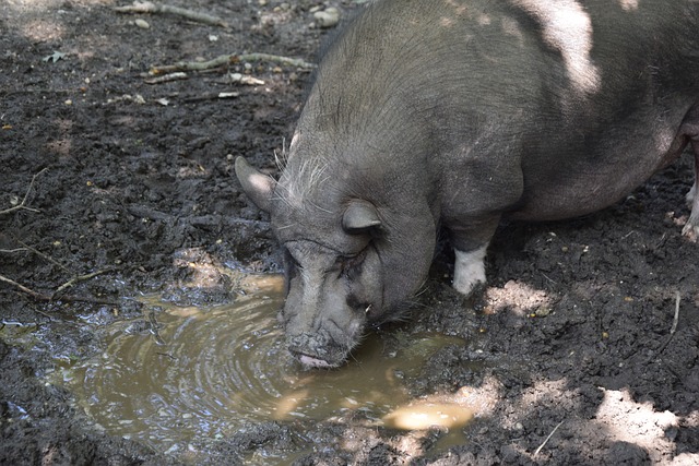 23岁久保建英无解传射,解约金6000万欧利物浦有意!.