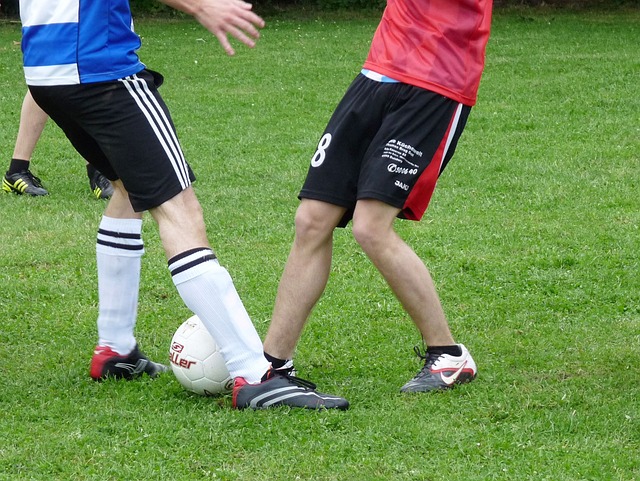 他们需要在 他们需要在