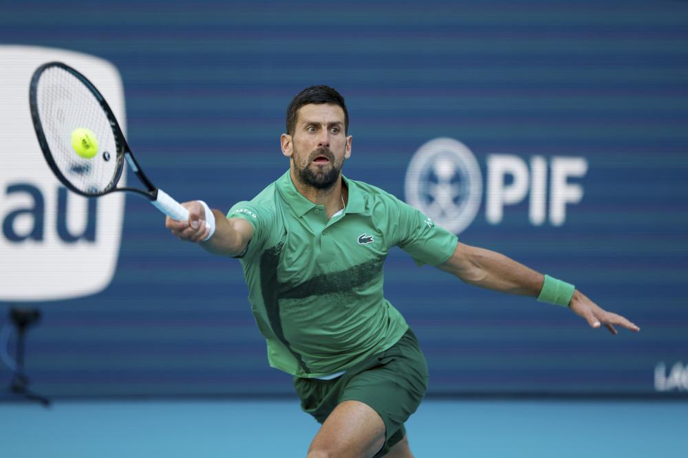 年的猛龙 年的猛龙